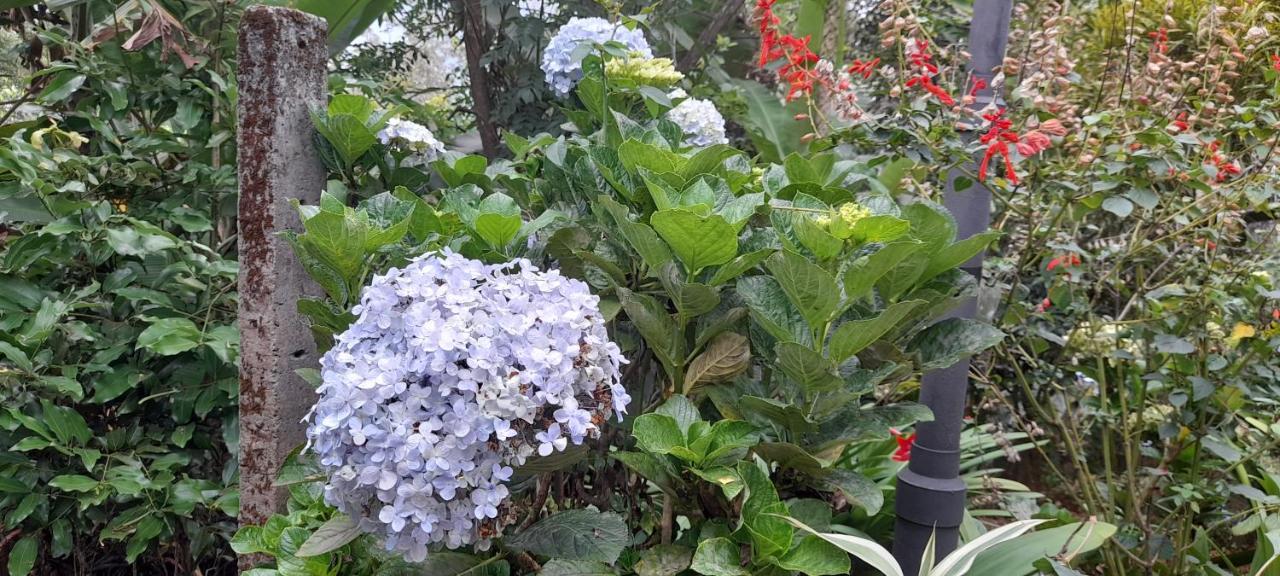 Le Farmhouse Munnar Anachal Ngoại thất bức ảnh