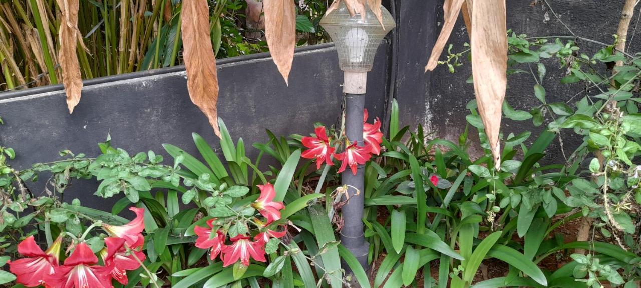 Le Farmhouse Munnar Anachal Ngoại thất bức ảnh
