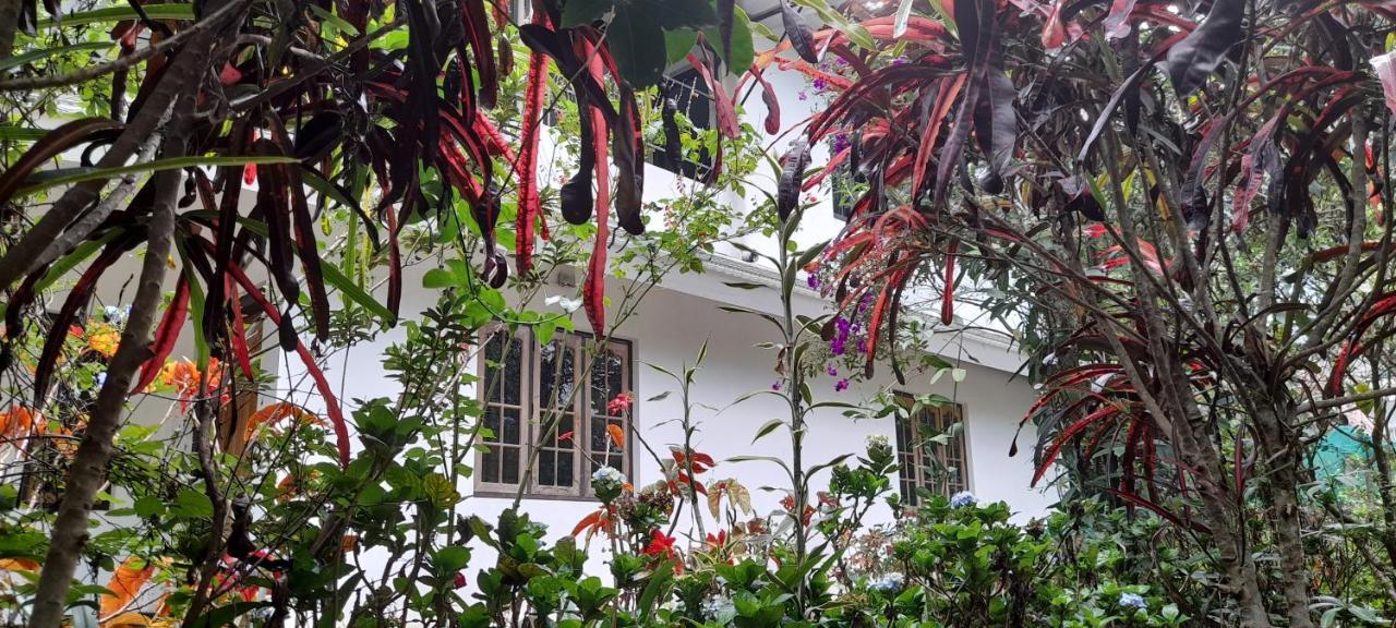 Le Farmhouse Munnar Anachal Ngoại thất bức ảnh