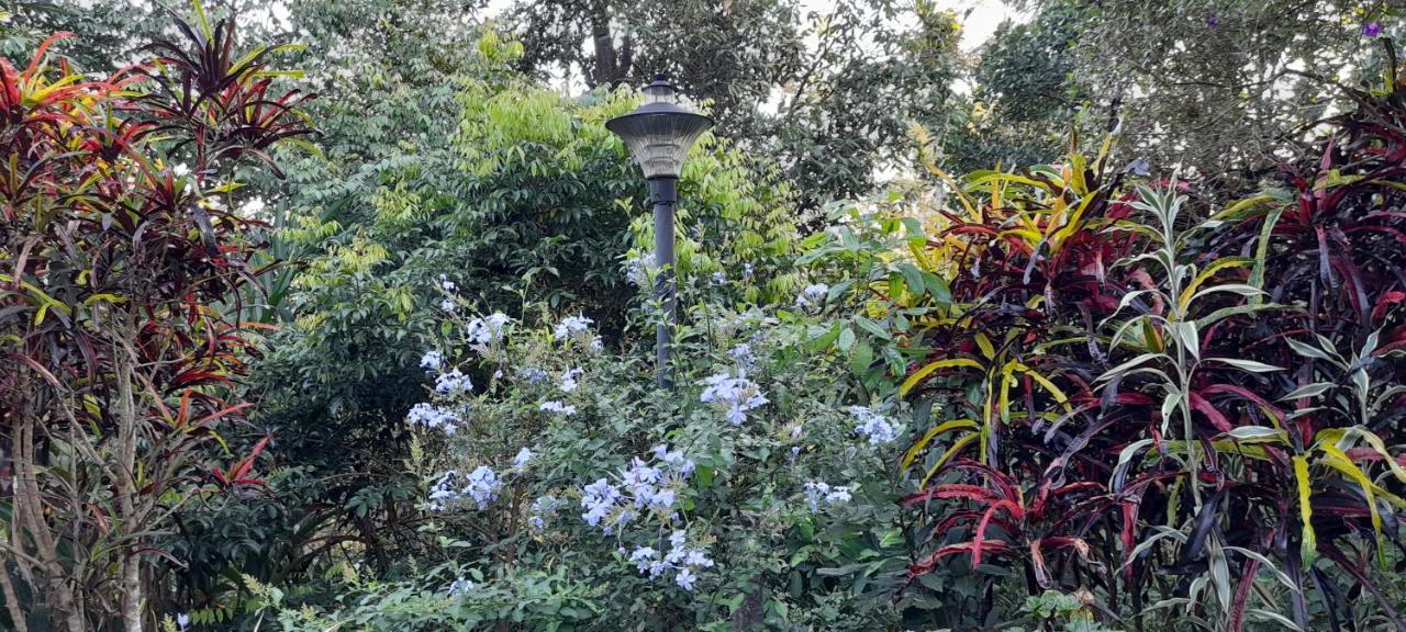 Le Farmhouse Munnar Anachal Ngoại thất bức ảnh
