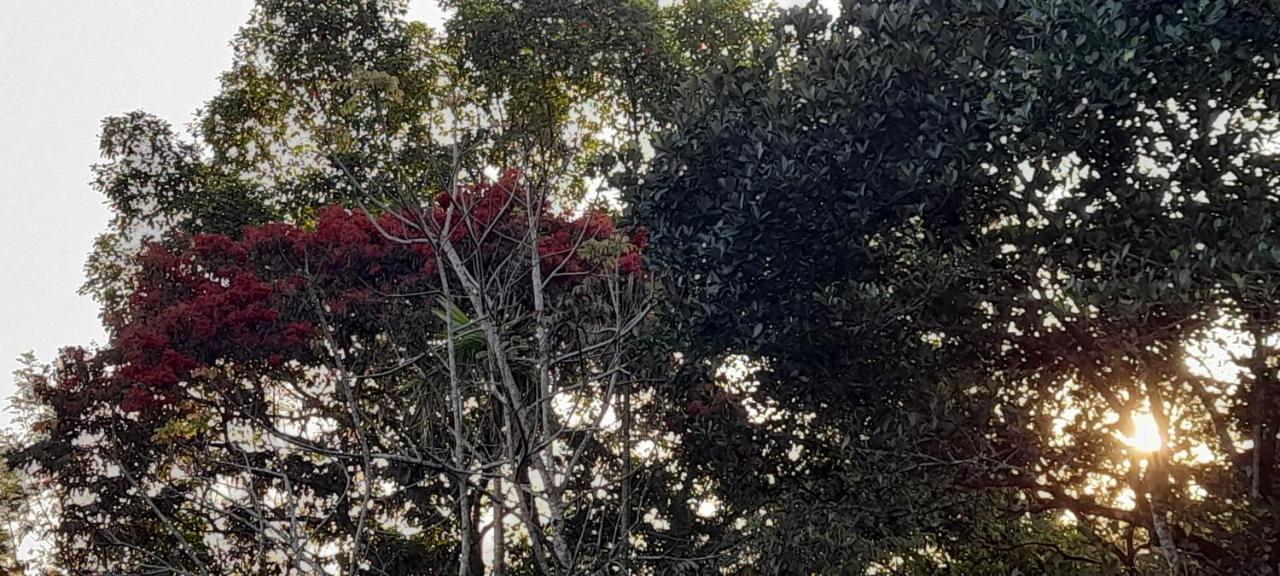 Le Farmhouse Munnar Anachal Ngoại thất bức ảnh