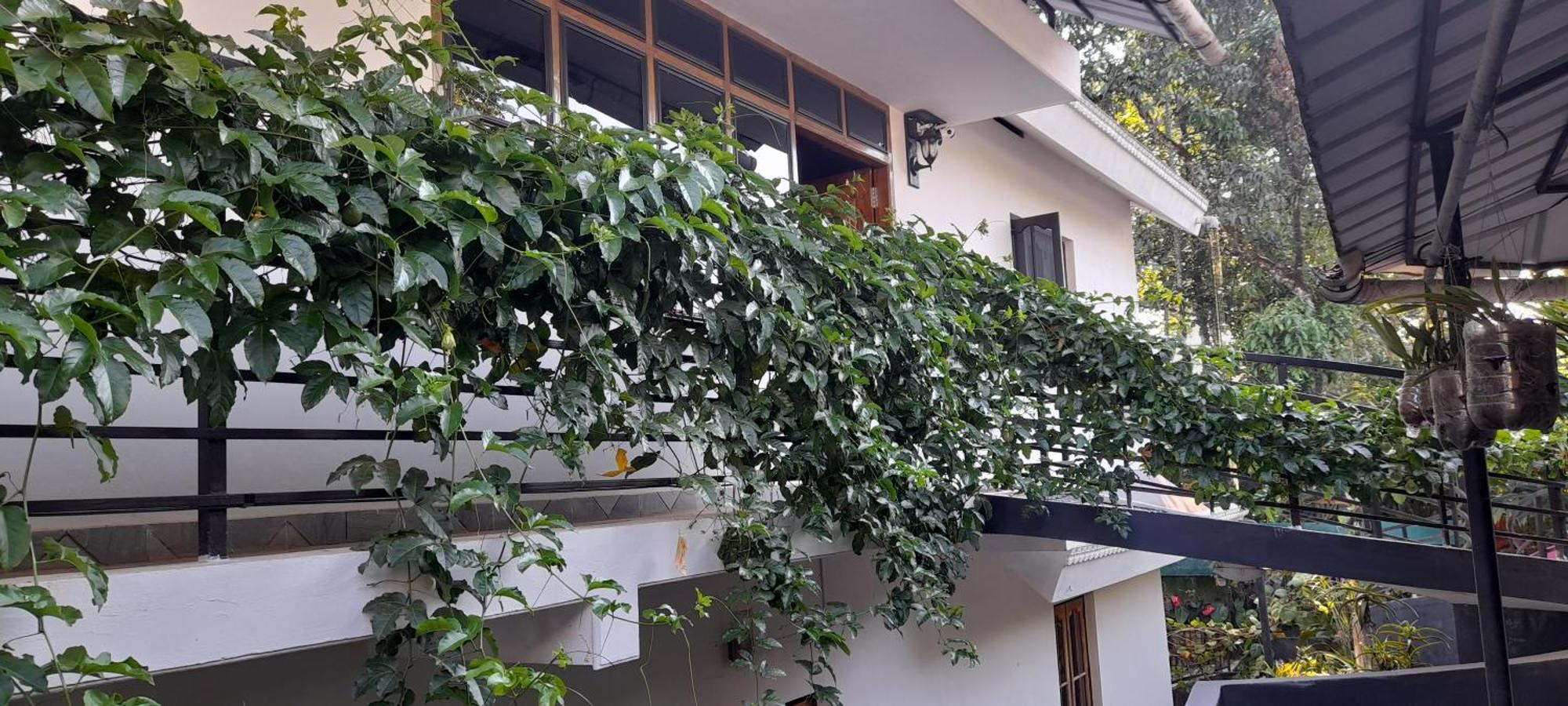 Le Farmhouse Munnar Anachal Ngoại thất bức ảnh