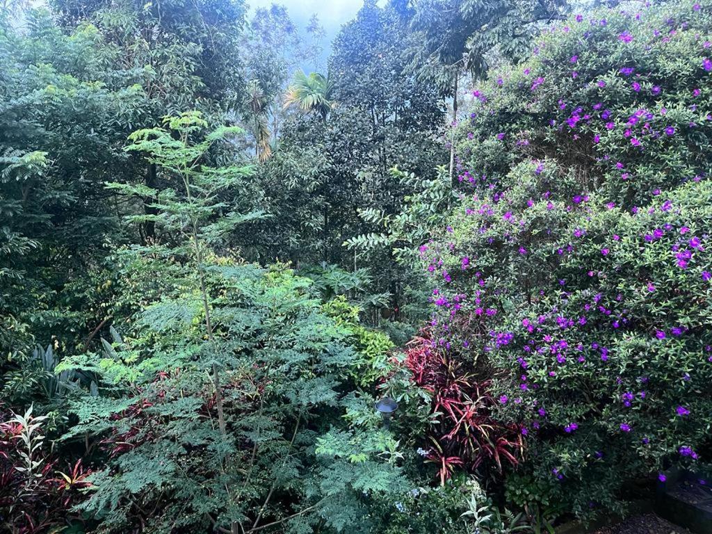 Le Farmhouse Munnar Anachal Ngoại thất bức ảnh
